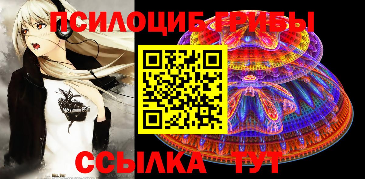 Галлюциногенные грибы ЛСД  Вход с VPN  Павлово  Галлюциногенные грибы Psilocybine cubensis 