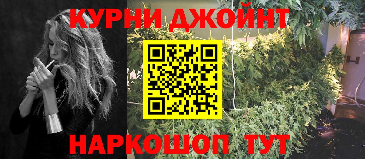 МАРИХУАНА ГИДРОПОН Павлово